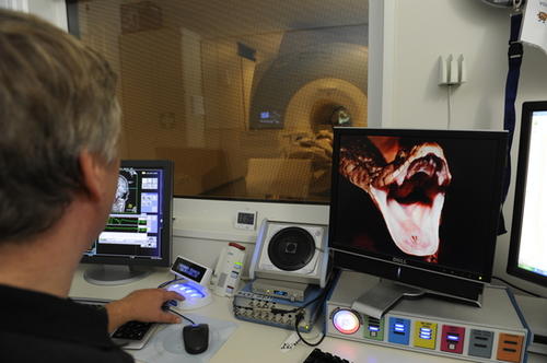 Am Dahlem Institute for Neuroimaging of Emotion werden Emotionen mithilfe neurowissenschaftlicher Methoden erforscht.